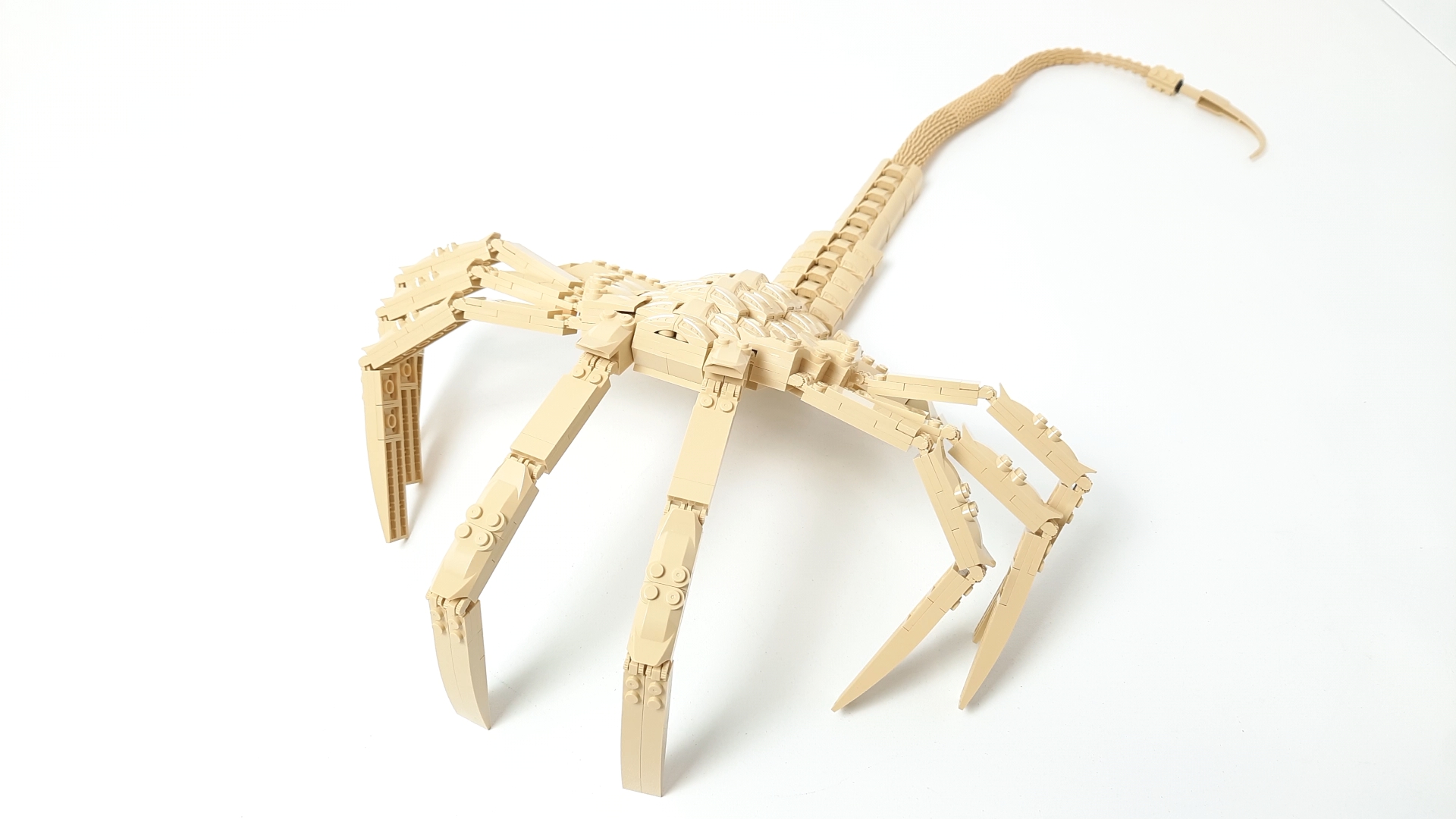 Modbrix Facehugger 18269012 [Review] - Klemmbausteine